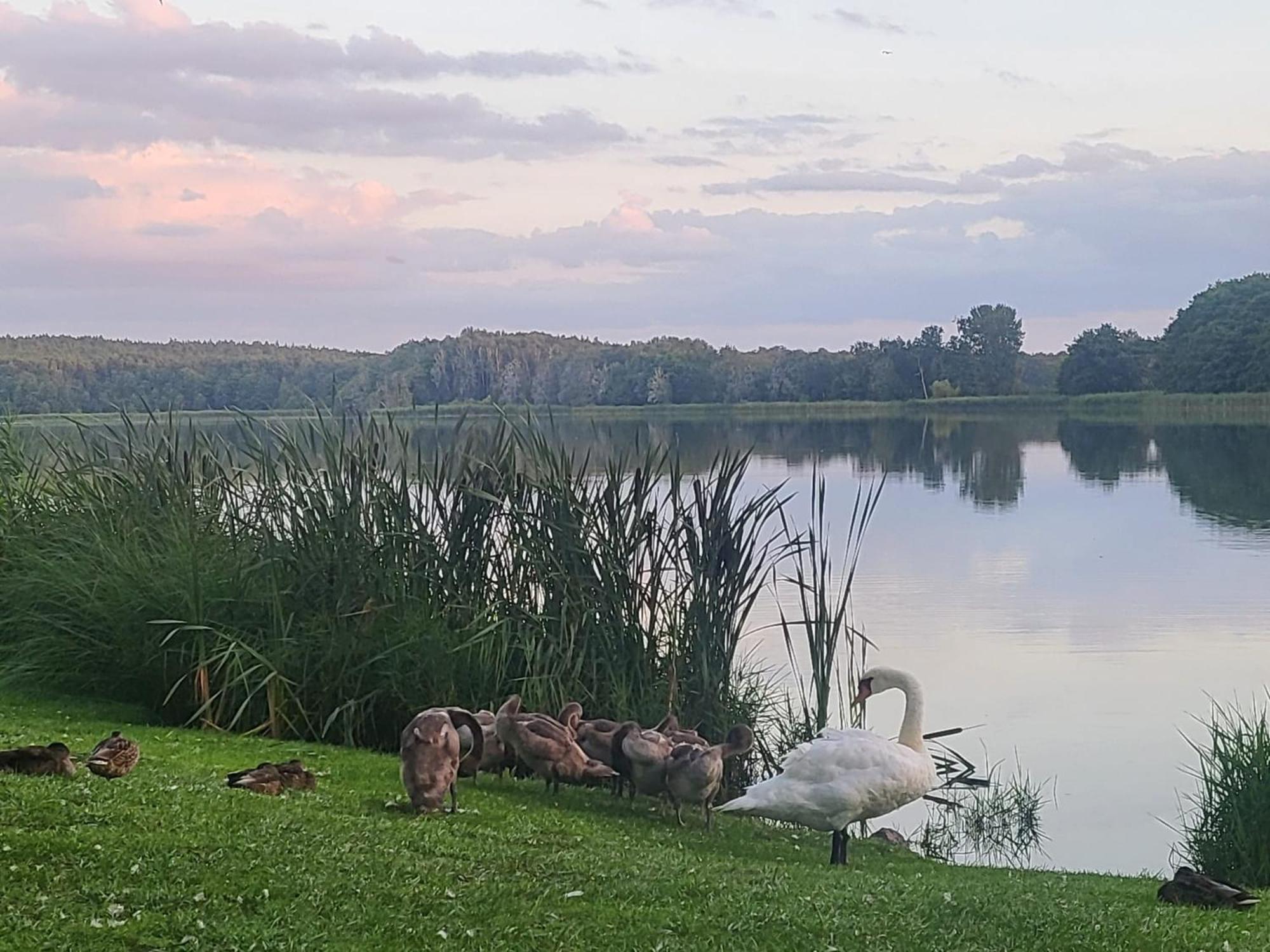 Hotel Karl'S Burg Kölpinsee エクステリア 写真