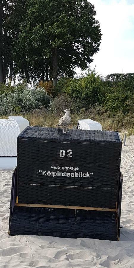 Hotel Karl'S Burg Kölpinsee エクステリア 写真